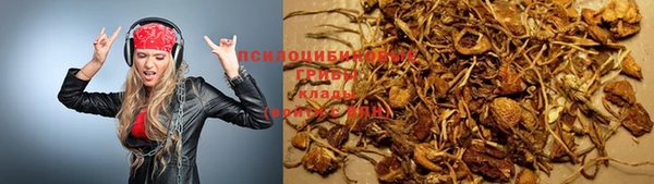 первитин Балахна
